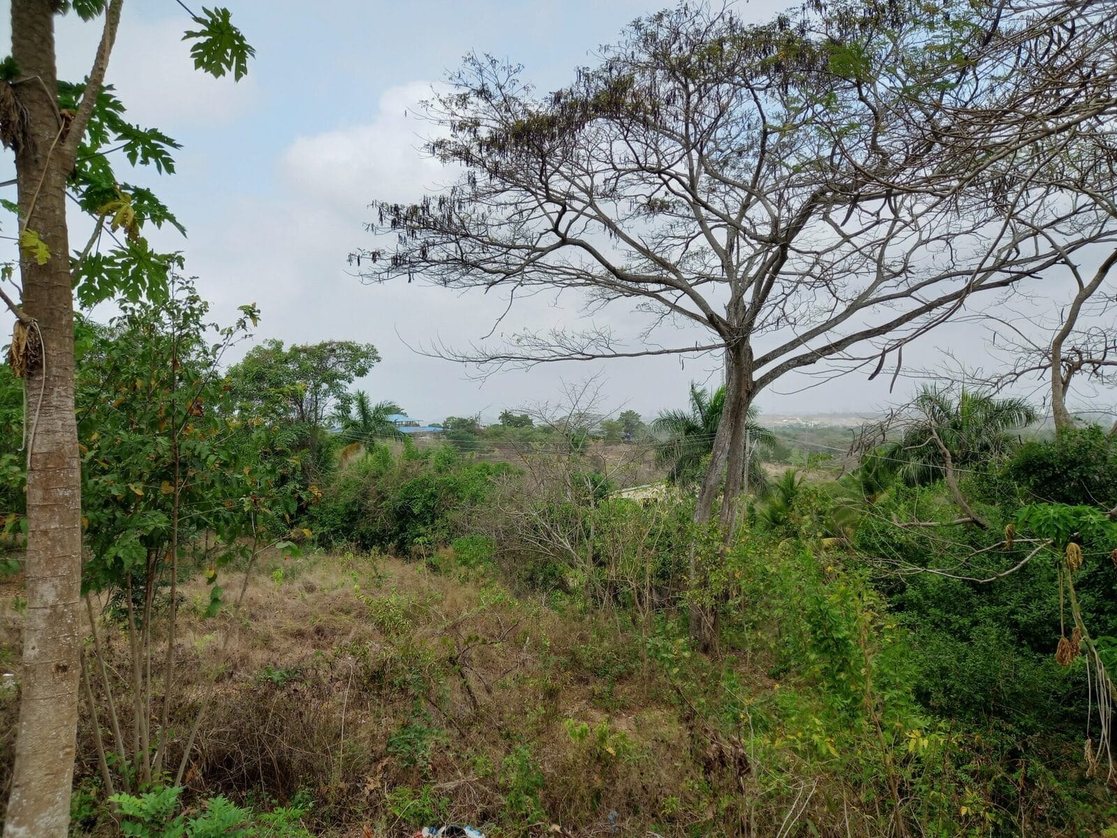 Lote en Turbaco, Cartagena, Bolívar — foto 1