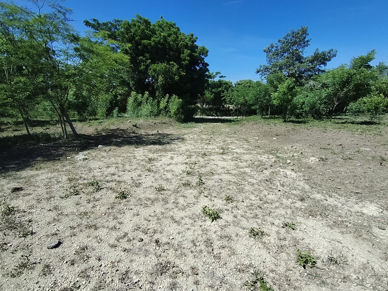 Lote en Mamonal, Cartagena, Bolívar — foto 1