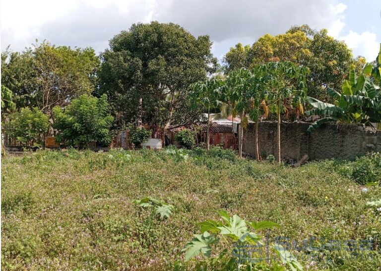 Lote en Turbaco, Cartagena, Bolívar — foto 3