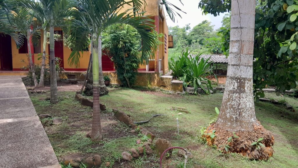 Finca en Turbaco, Cartagena, Bolivar — foto 11