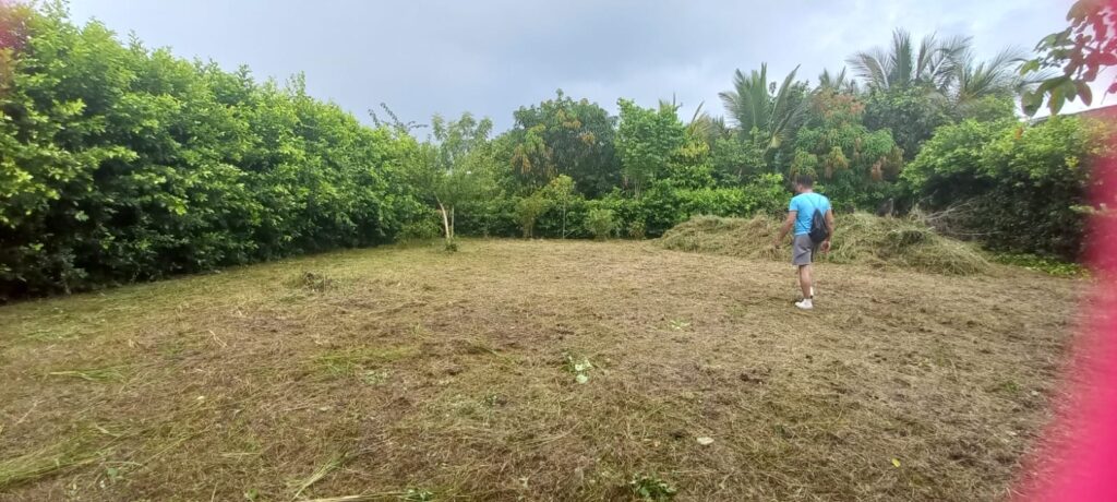 Lote en Turbaco, Cartagena de Indias, Bolívar — foto 6