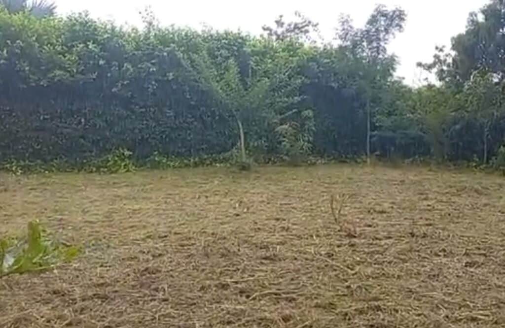 Lote en Turbaco, Cartagena de Indias, Bolívar — foto 4