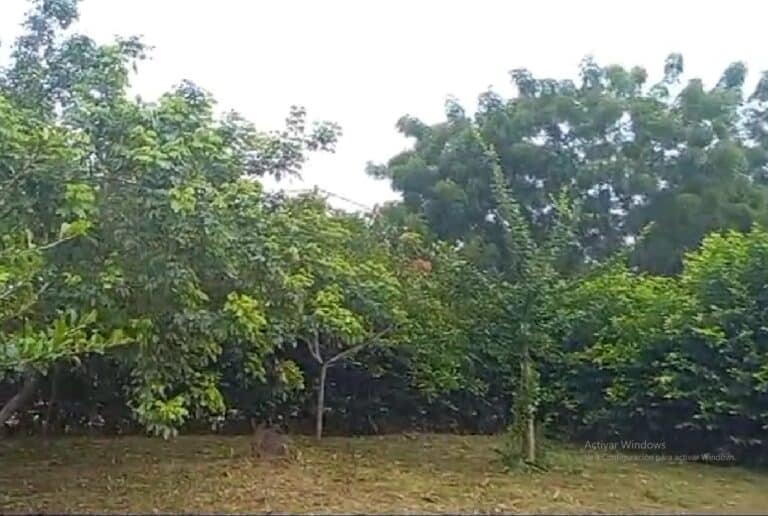 Lote en Turbaco, Cartagena de Indias, Bolívar — foto 5