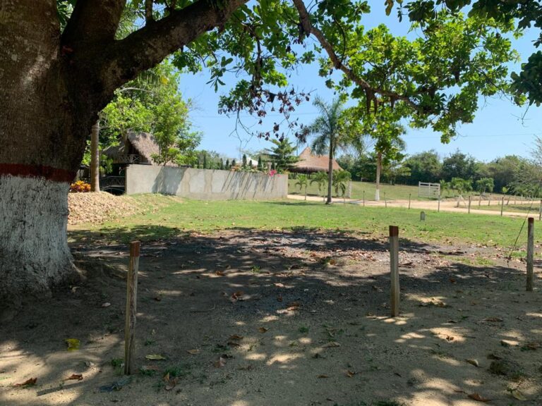 Lote en Turbaco, Cartagena, Bolívar — foto 4