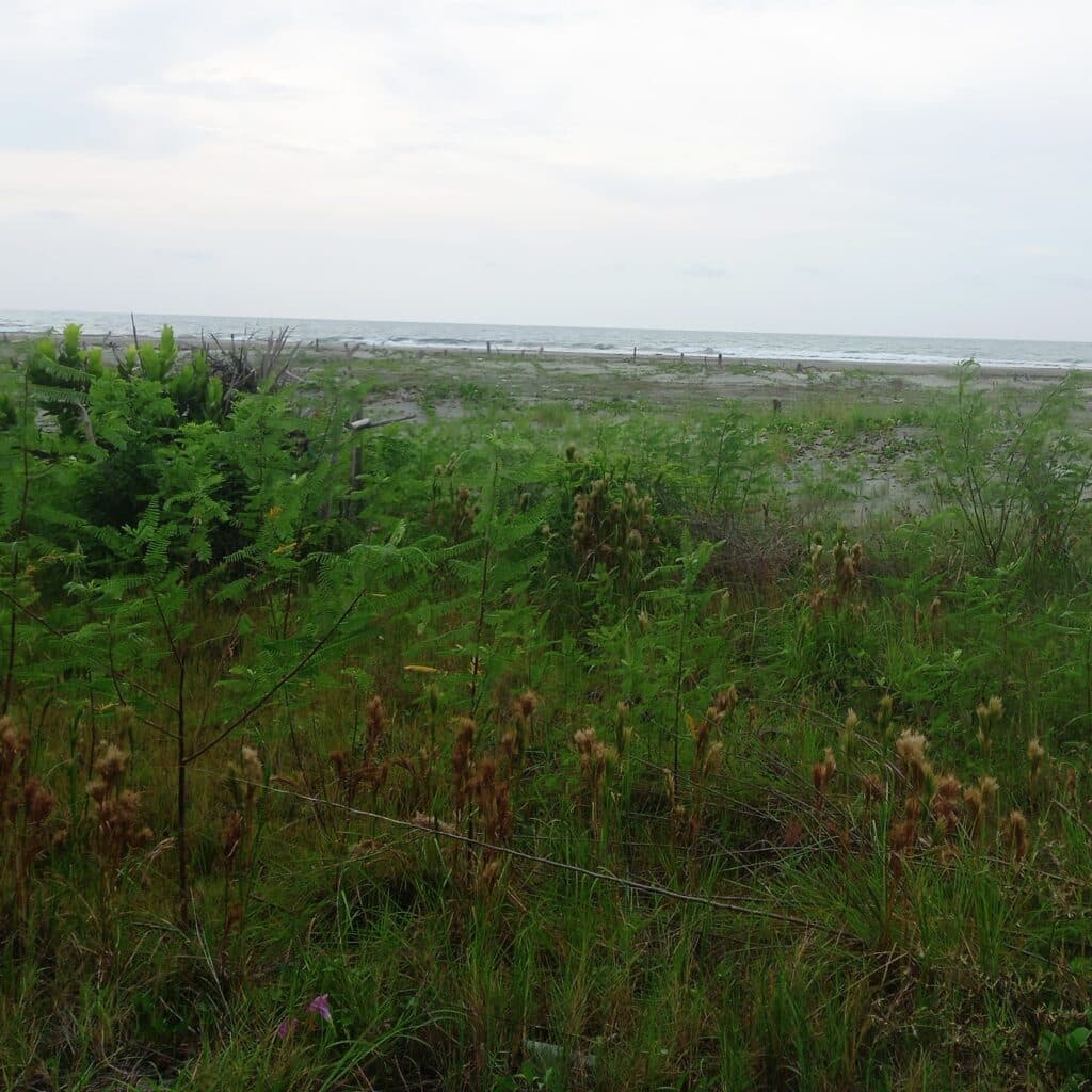Finca en Zona norte, Cartagena, Bolivar — foto 1