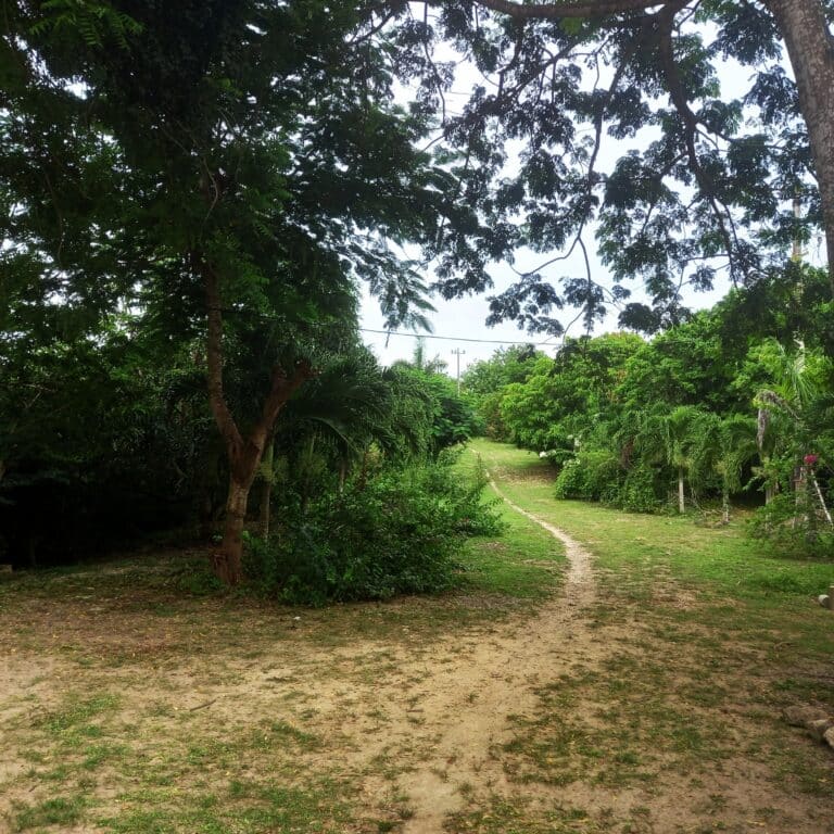 Finca en Zona norte, Cartagena, Bolivar — foto 2