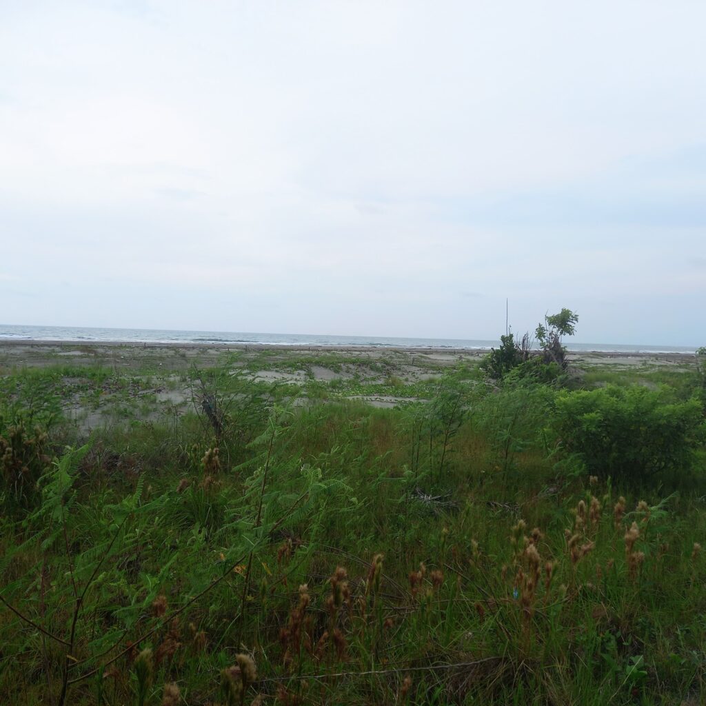 Finca en Zona norte, Cartagena, Bolivar — foto 11