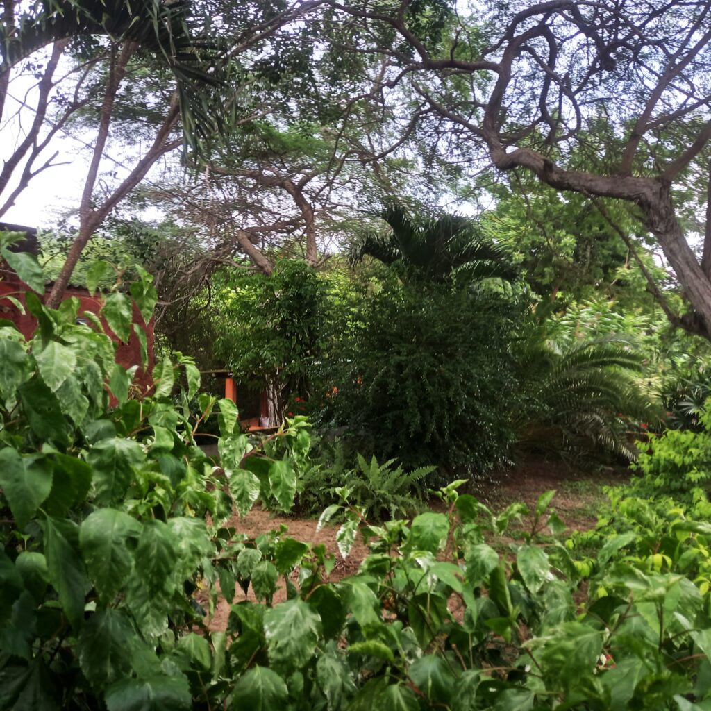 Finca en Zona norte, Cartagena, Bolivar — foto 5