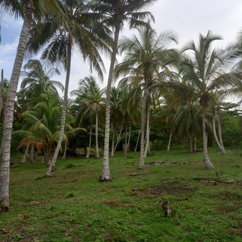 Finca en Zona norte, Cartagena, Bolivar — foto 6