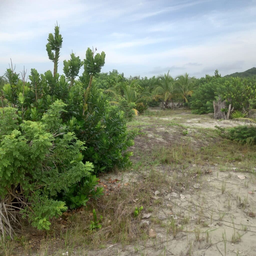 Finca en Zona norte, Cartagena, Bolivar — foto 7