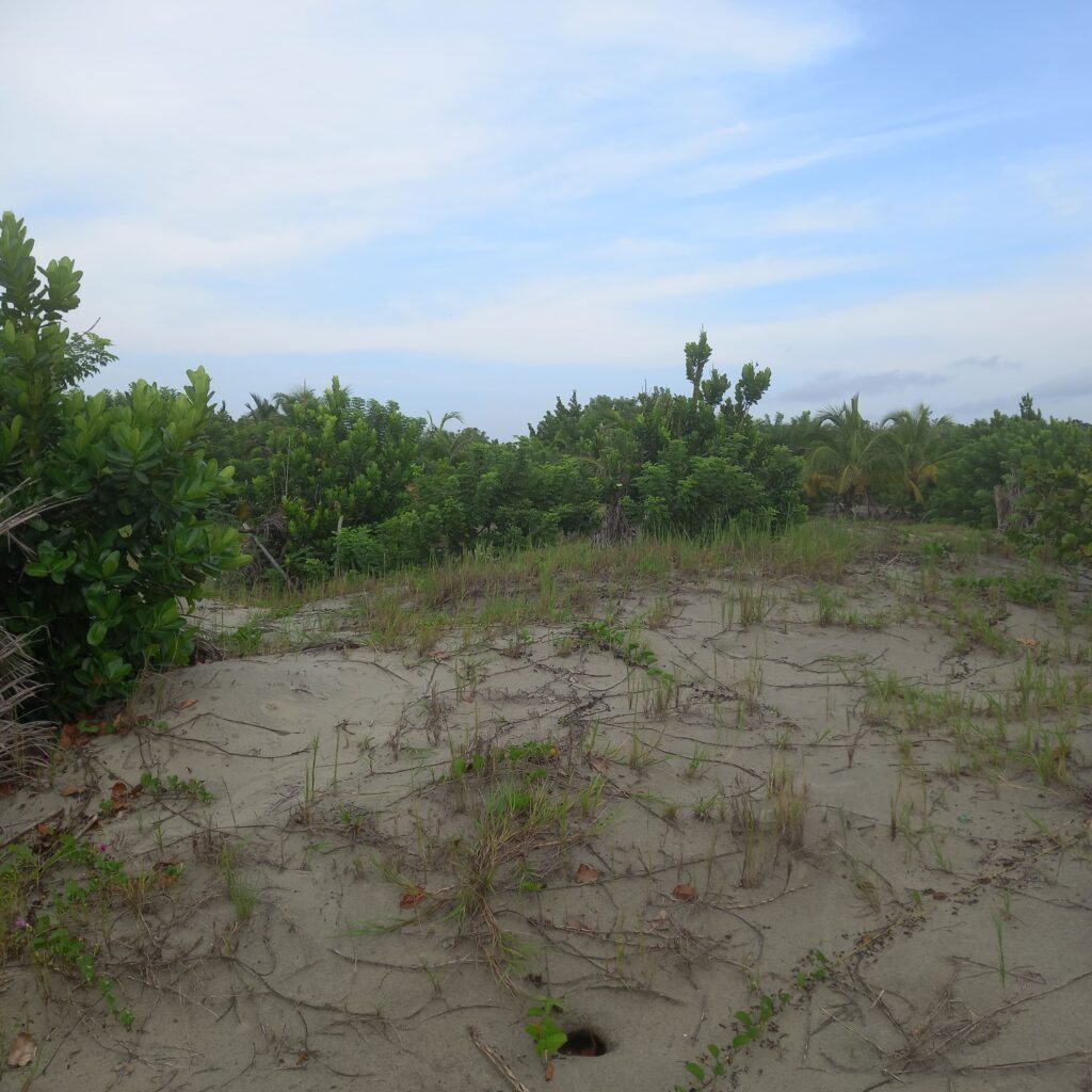 Finca en Zona norte, Cartagena, Bolivar — foto 8
