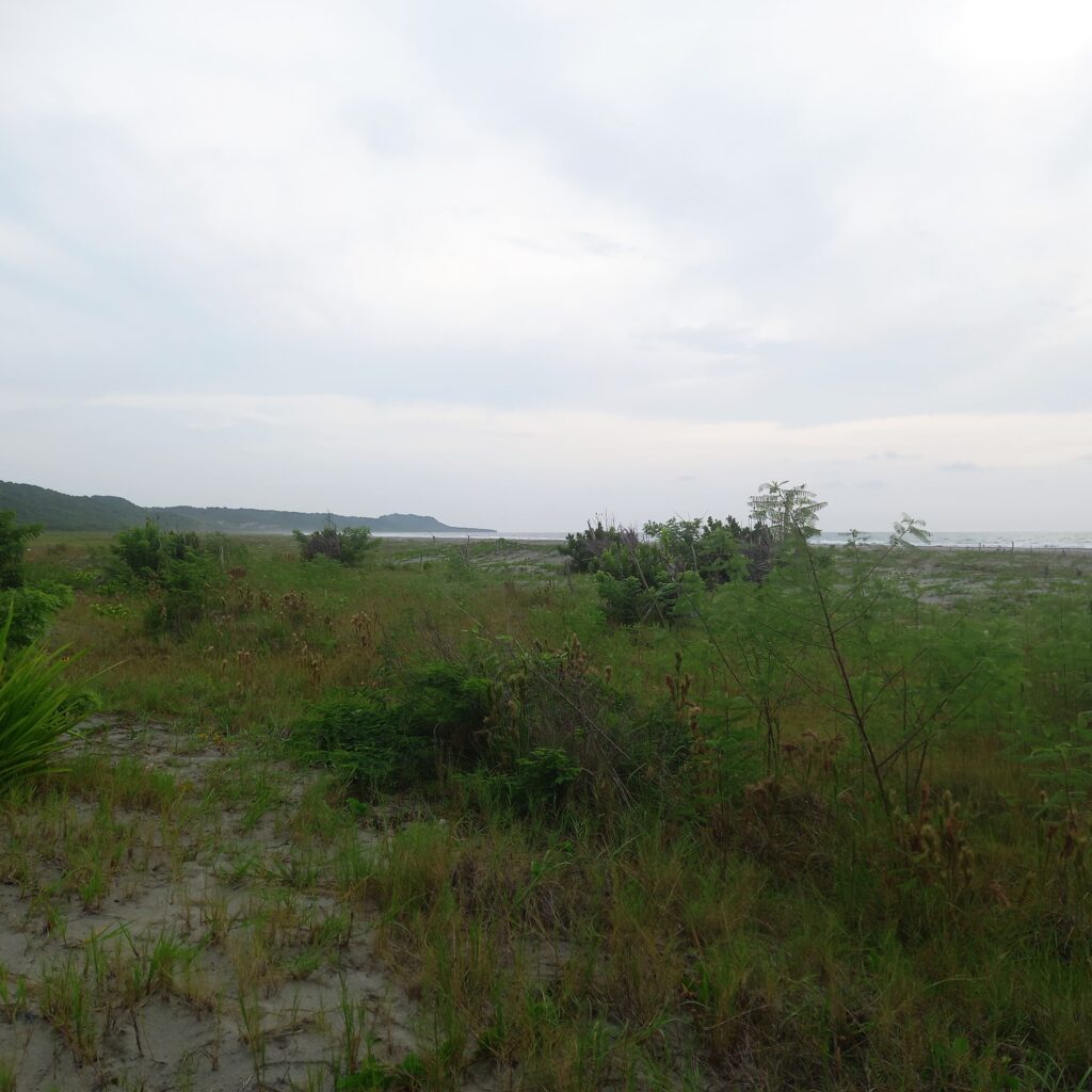 Finca en Zona norte, Cartagena, Bolivar — foto 10