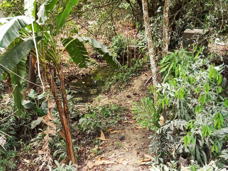 Lote en Turbaco, Cartagena, Bolívar — foto 2