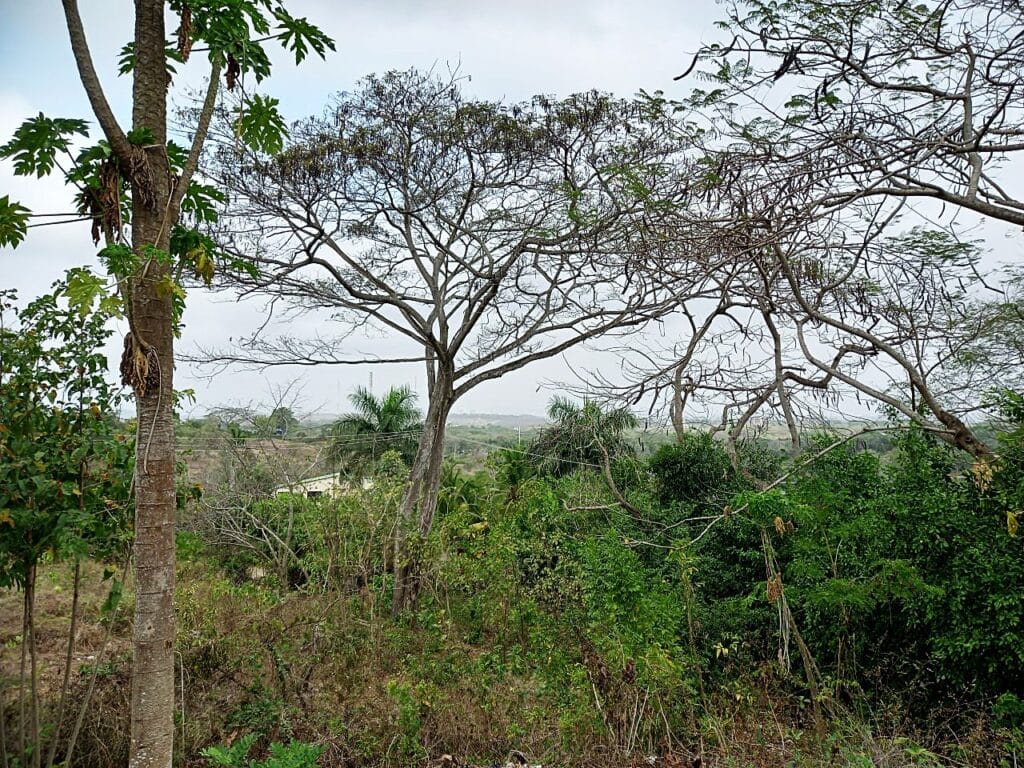 Lote en Turbaco, Cartagena, Bolívar — foto 6