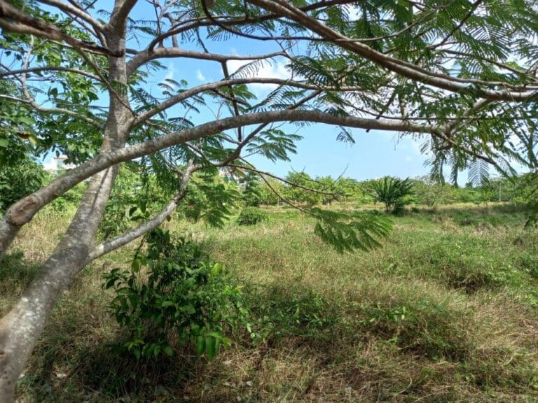 Lote en Zona norte, Cartagena, Bolívar — foto 2