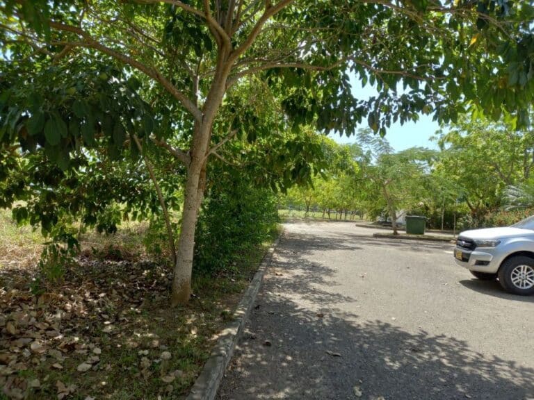 Lote en Zona norte, Cartagena, Bolívar — foto 3