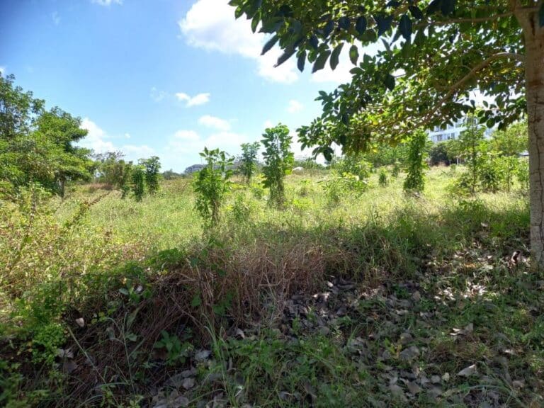 Lote en Zona norte, Cartagena, Bolívar — foto 4