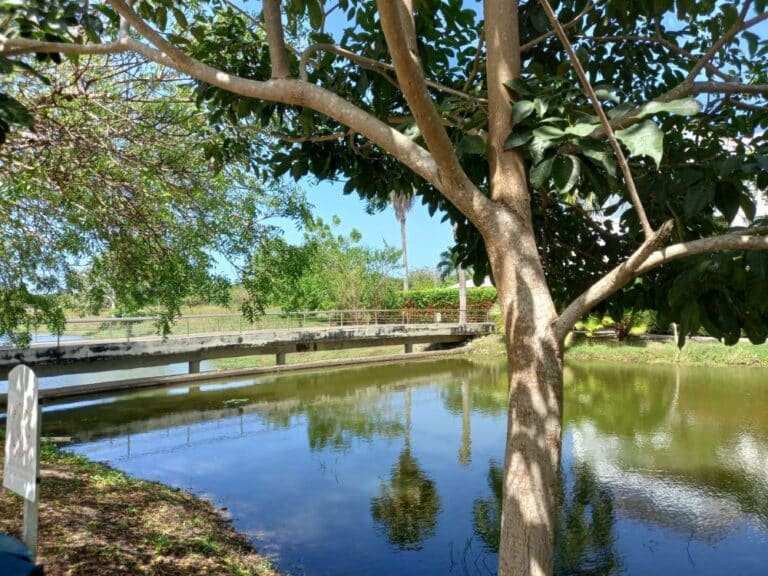Lote en Zona norte, Cartagena, Bolívar — foto 5