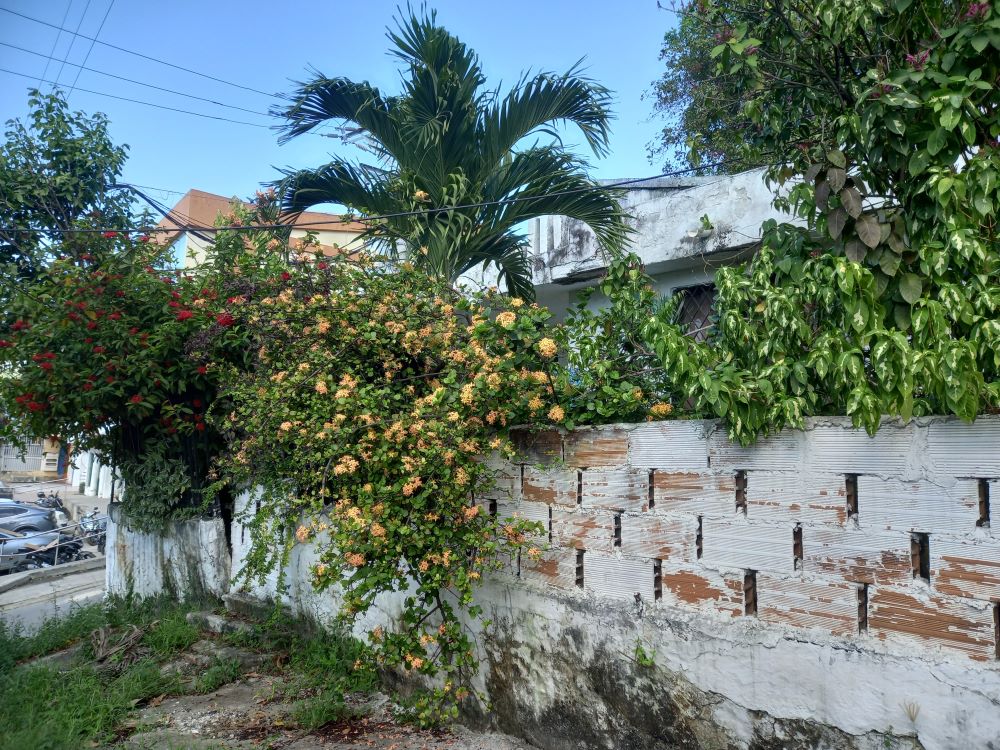 Lote en San Isidro, Cartagena, Bolívar — foto 1