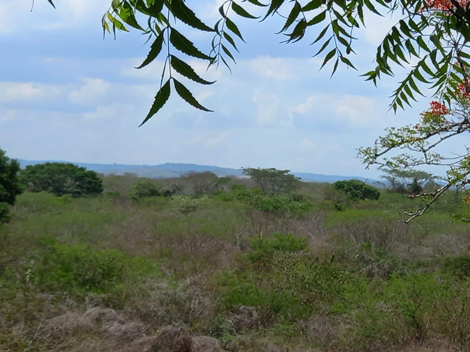 Lote en Isla de Barú, Cartagena, Bolívar — foto 1