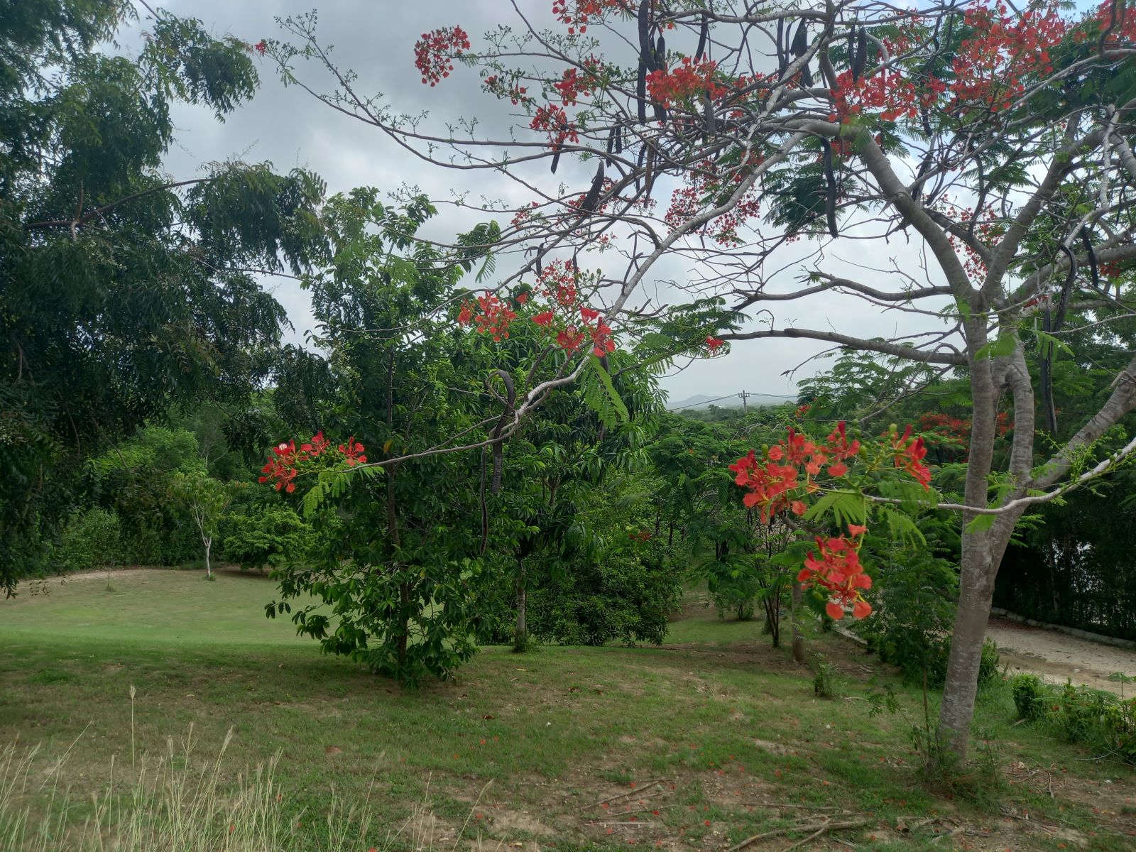 Lote en Manzanillo del Mar, Cartagena, Bolívar — foto 1