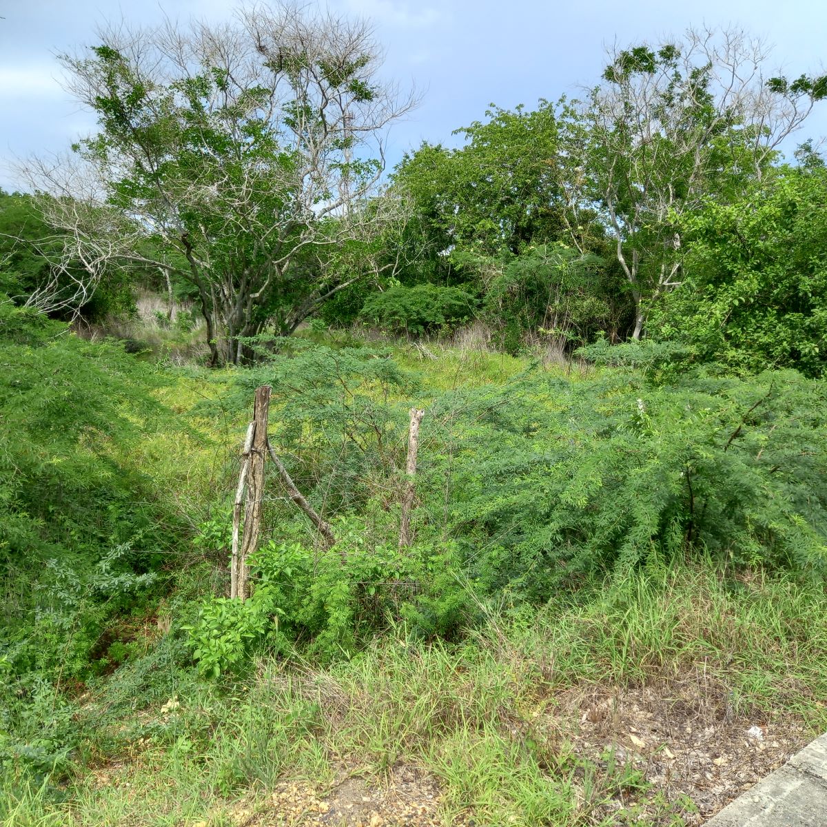 Lote en Manzanillo del Mar, Cartagena, Bolívar — foto 1
