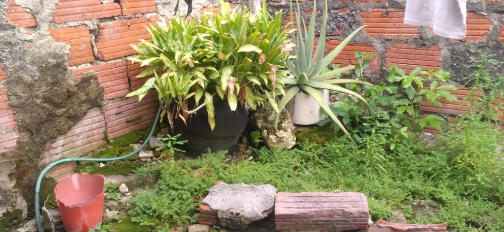 Lote en El Prado, Cartagena, Bolivar — foto 4