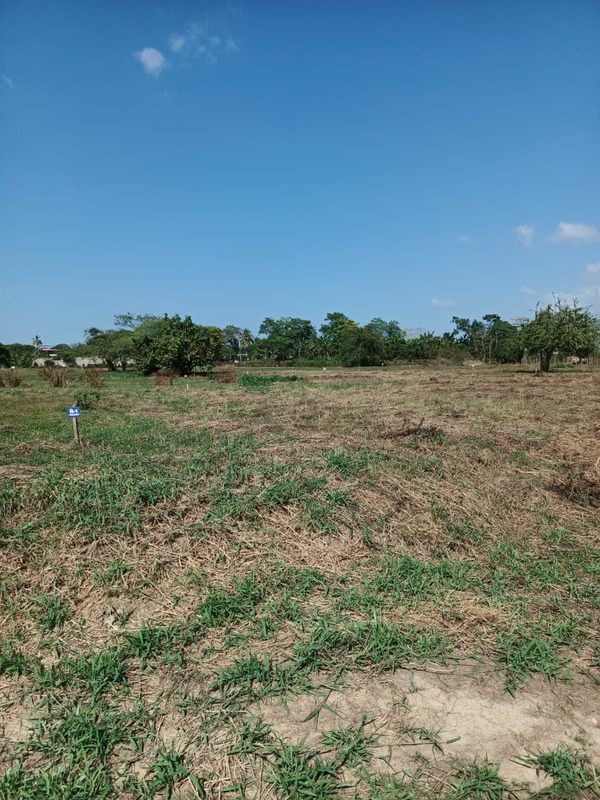 Lote en Bayunca, Cartagena, Bolívar — foto 1
