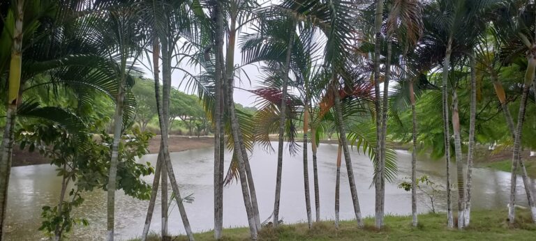 Lote en Turbaco, Cartagena de Indias, Bolívar — foto 1